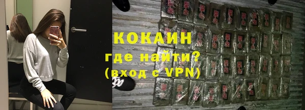 стаф Новокубанск