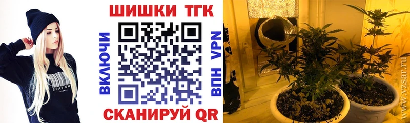 Канабис гибрид  Калачинск 